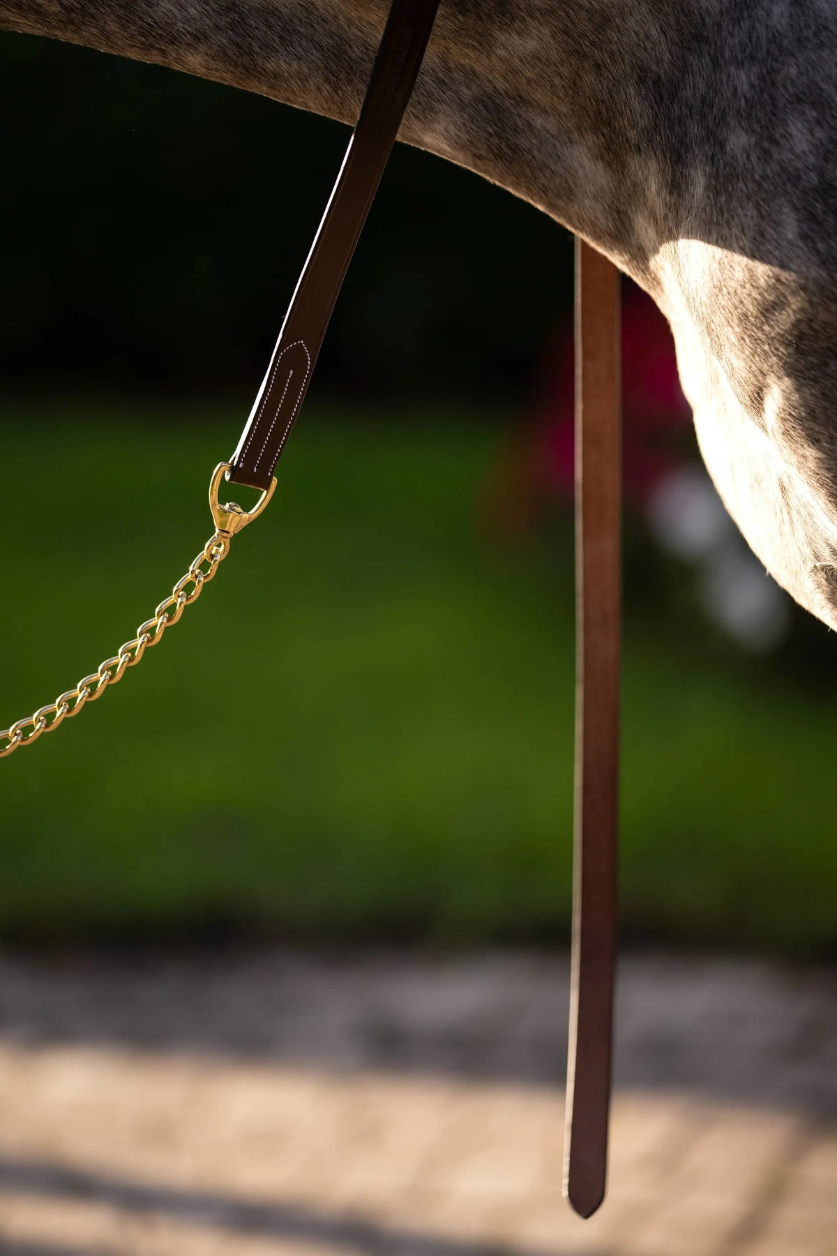 Huntley Equestrian Lederführstrick