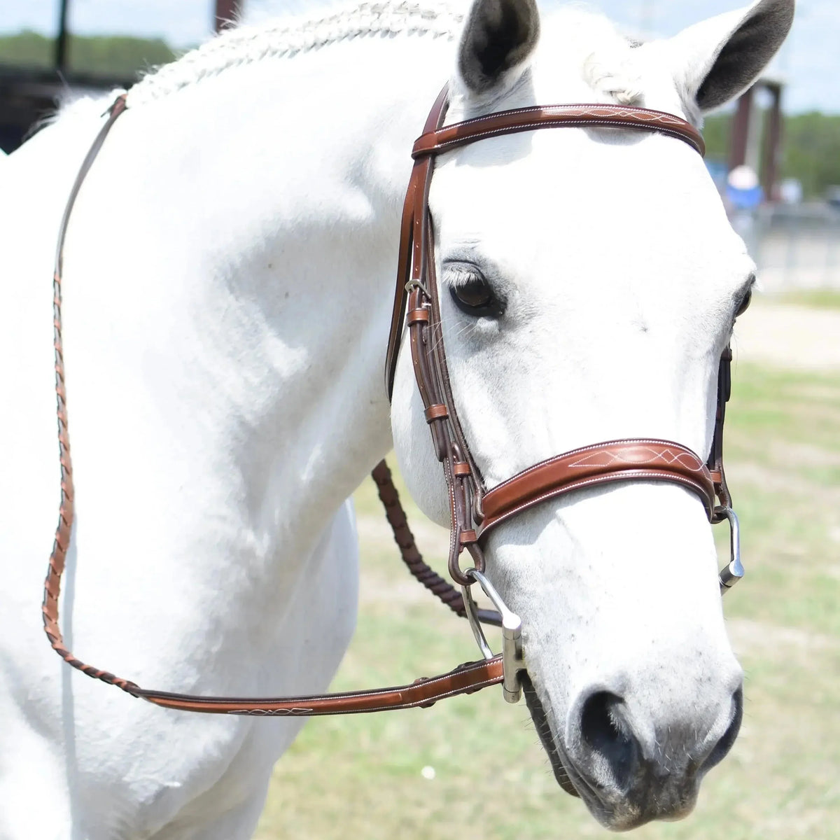 Brida de salto Huntley Equestrian Sedgwick con costuras decorativas y testera cuadrada