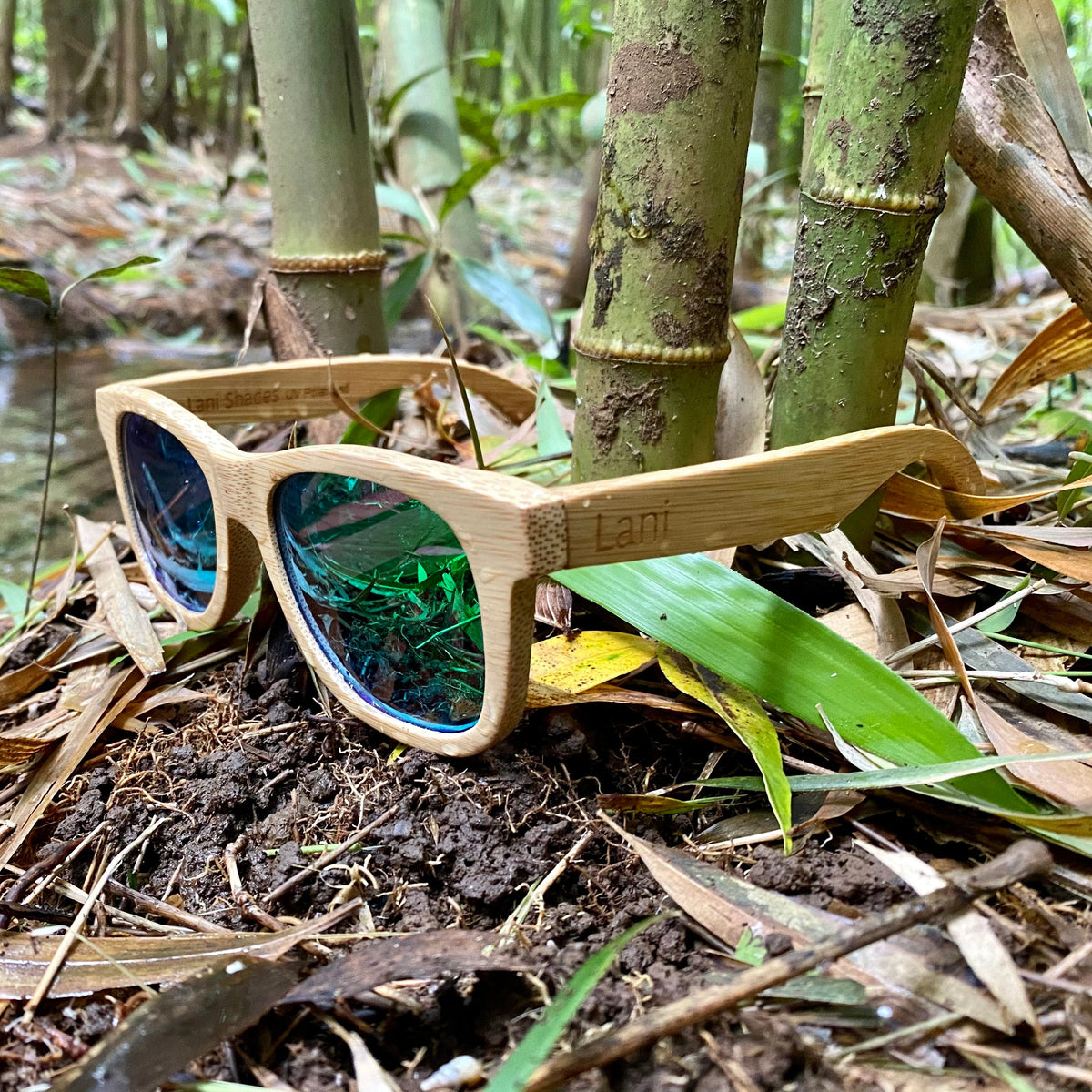 Lani Shades Ohe Klassische Sonnenbrille