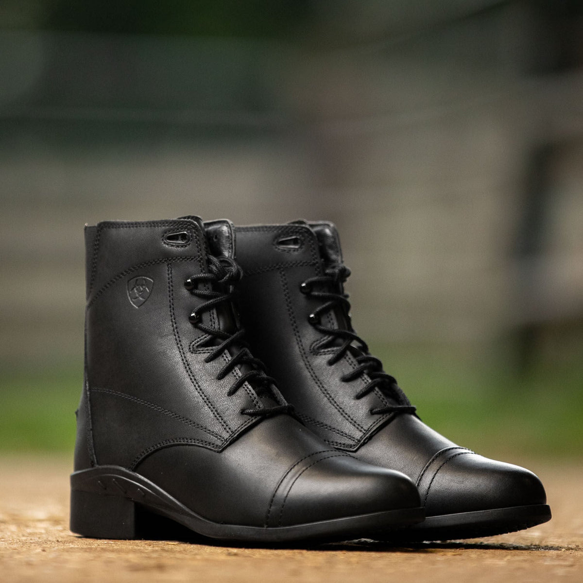 Jeffers - Ariat Women's Scout Laced Paddock Boot, Black - 6.5 - Black