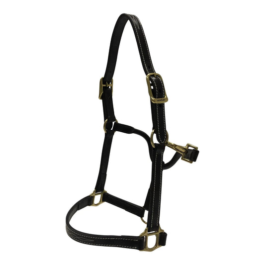 Cabestro para poni con costuras decorativas Huntley Equestrian