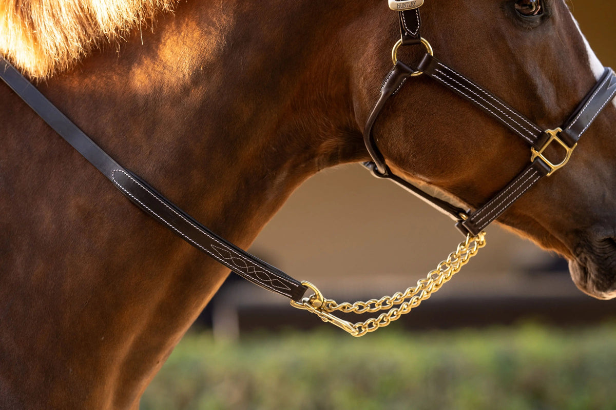Huntley Equestrian Lederführstrick