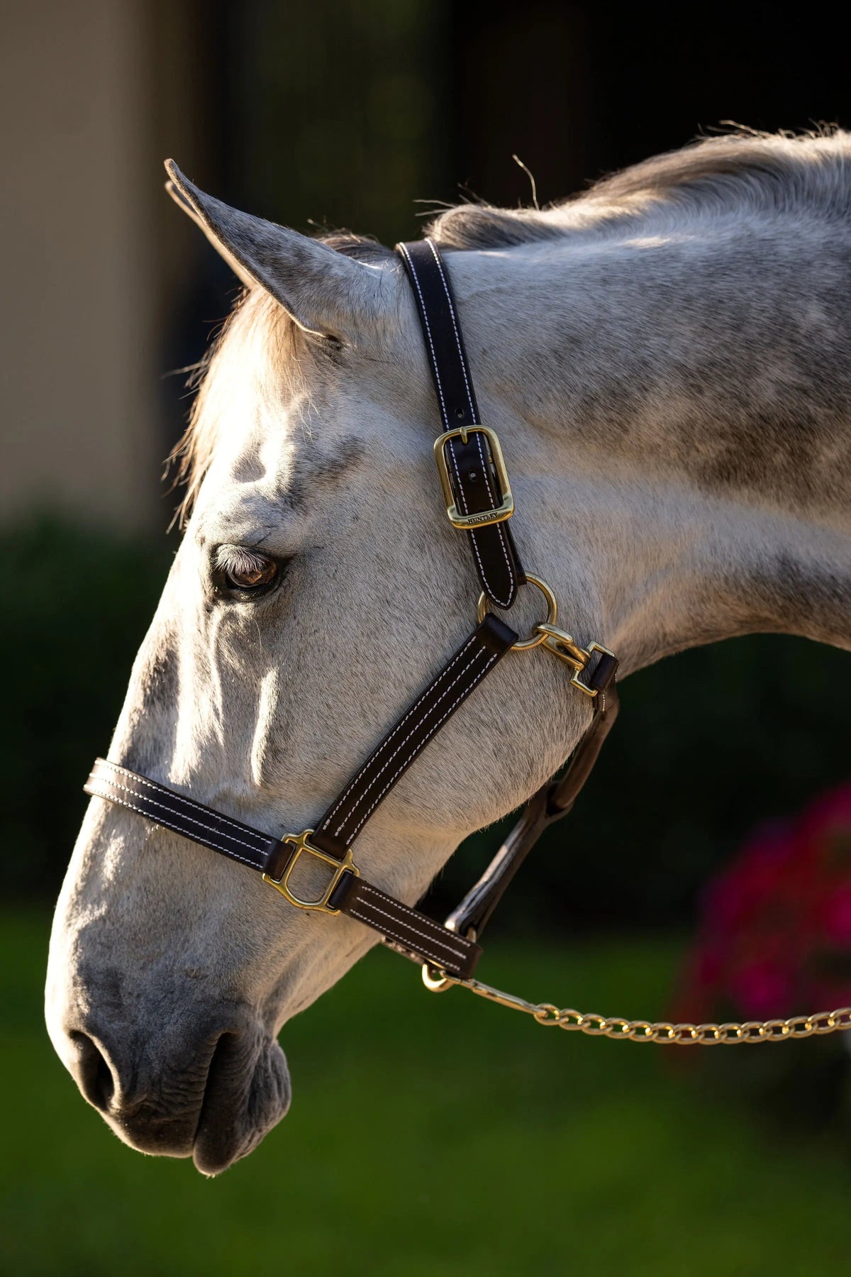 Huntley Equestrian dreifach genähtes Halfter
