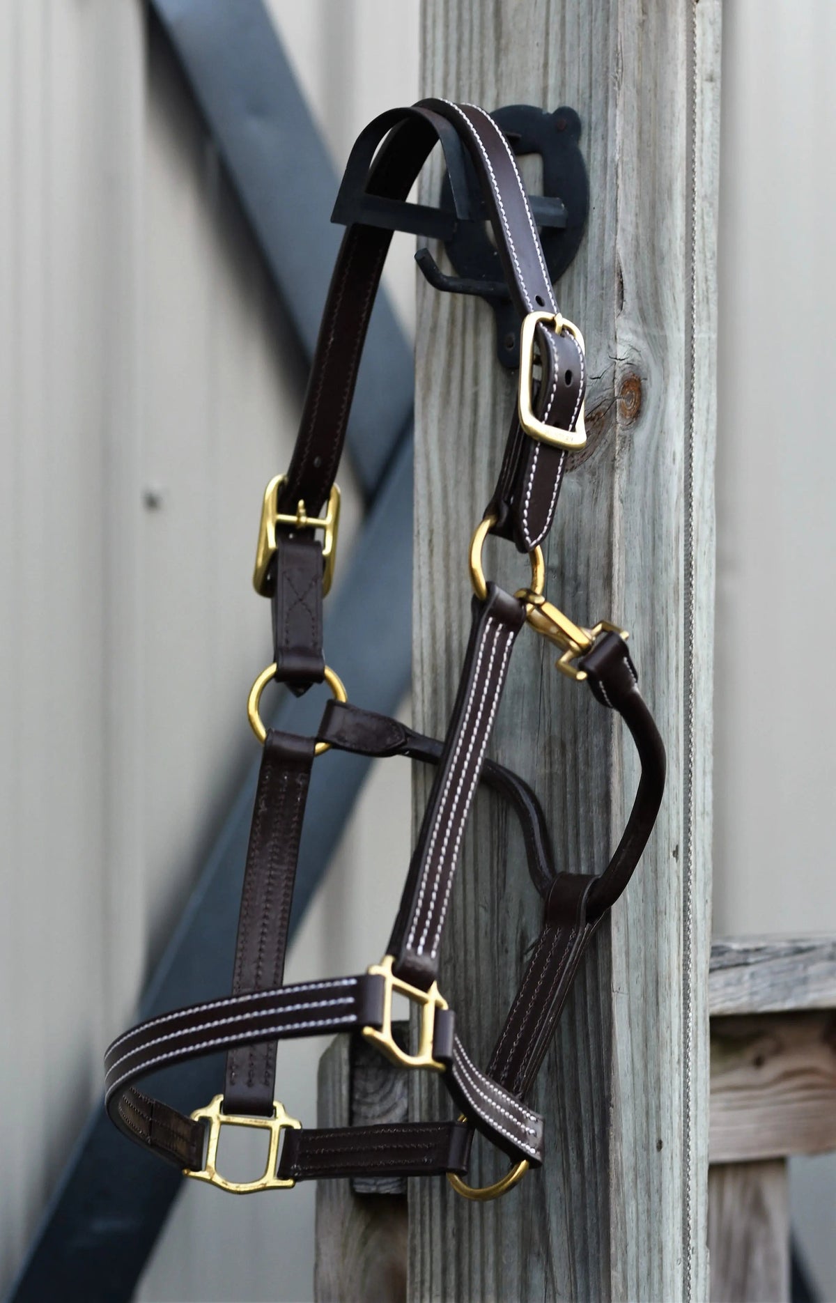 Huntley Equestrian dreifach genähtes Halfter