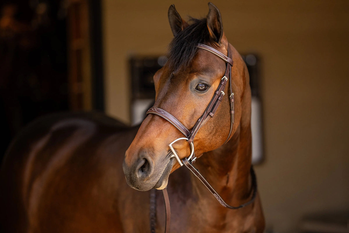 Filet de chasse Huntley Equestrian Sedgwick à surpiqûres fantaisie