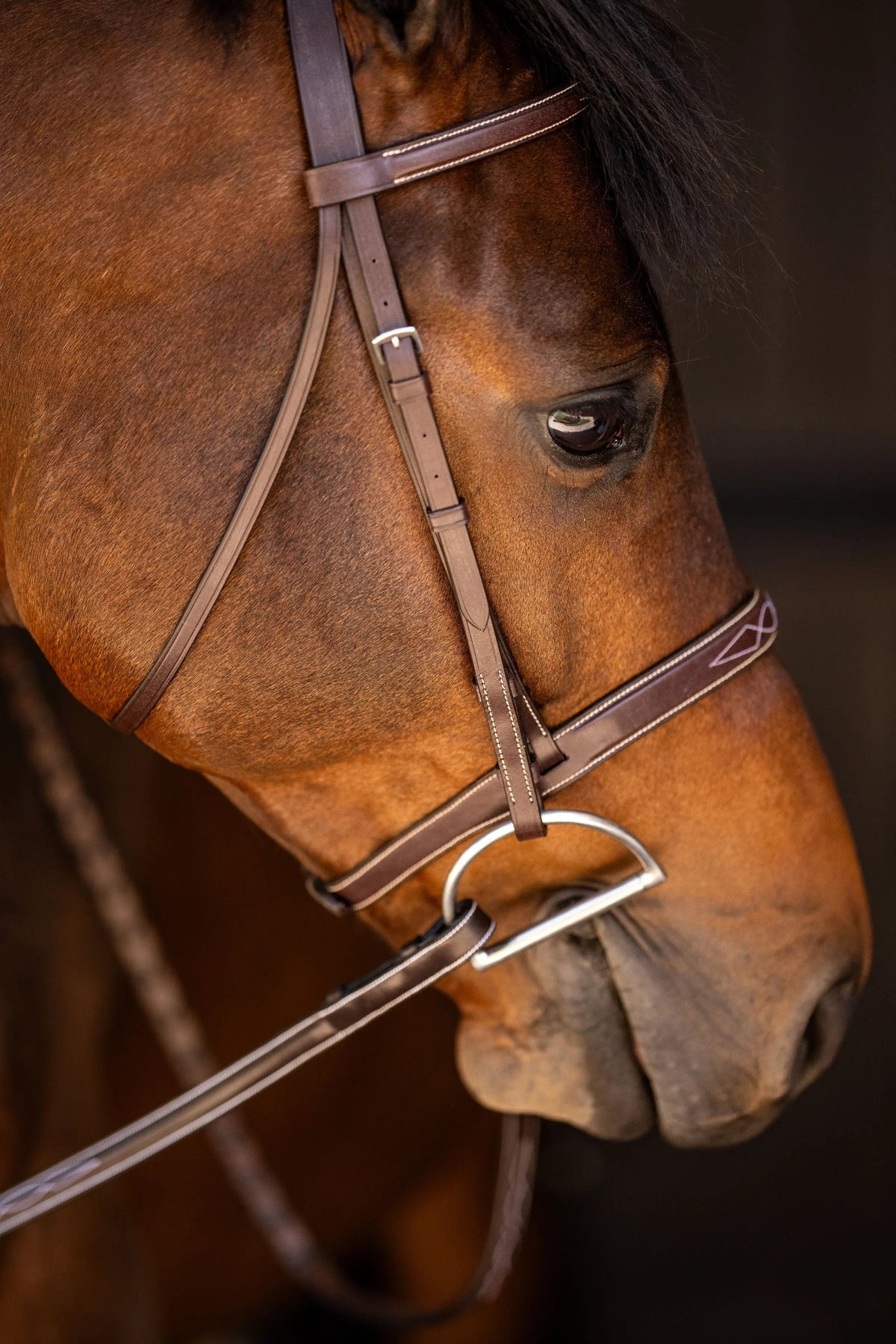 Filet de chasse Huntley Equestrian Sedgwick à surpiqûres fantaisie
