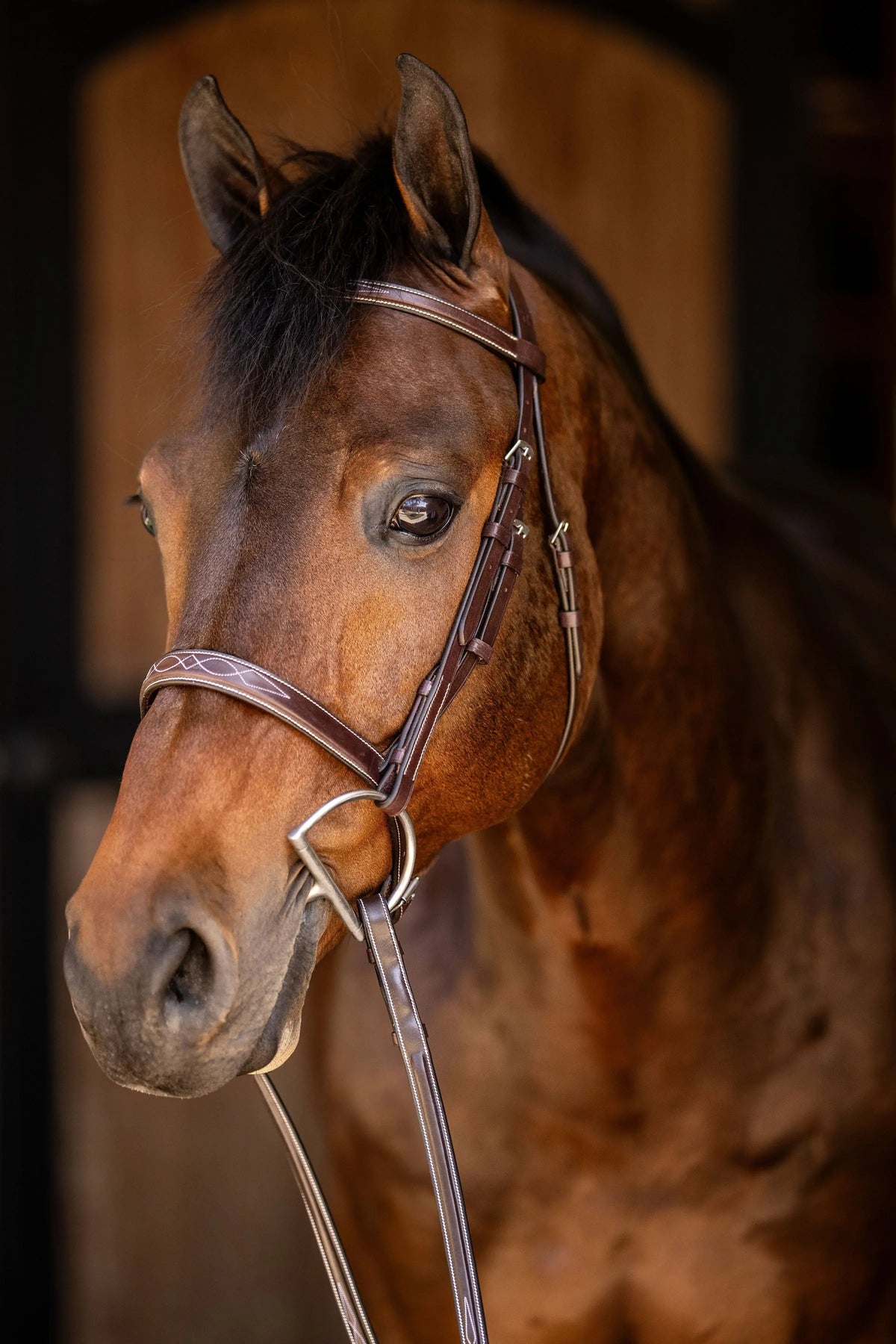 Filet de chasse Huntley Equestrian Sedgwick à surpiqûres fantaisie