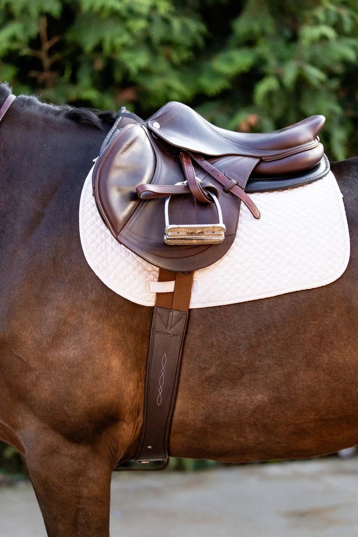 Huntley Equestrian Sedgwick Kurzgurt mit Ziernaht