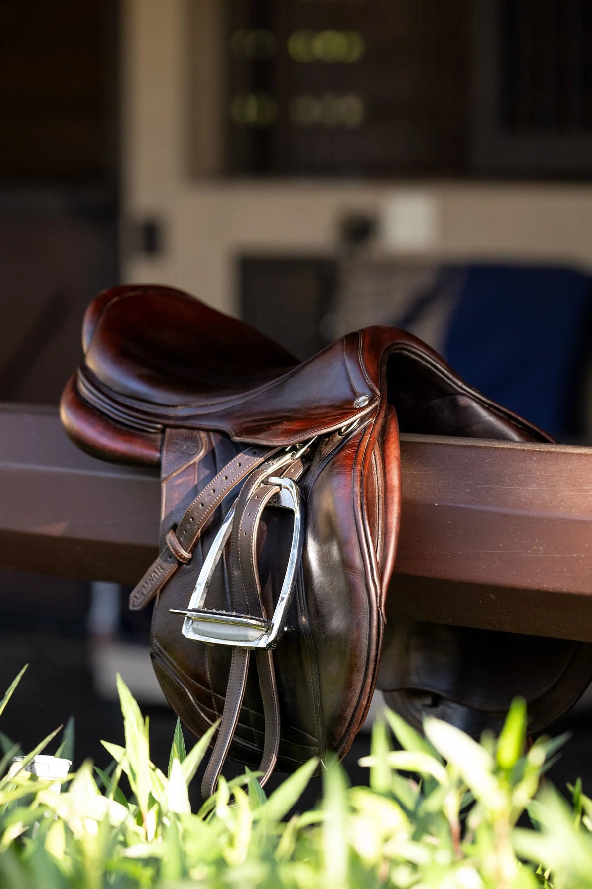 Correas para estribos Huntley Equestrian Sedgwick