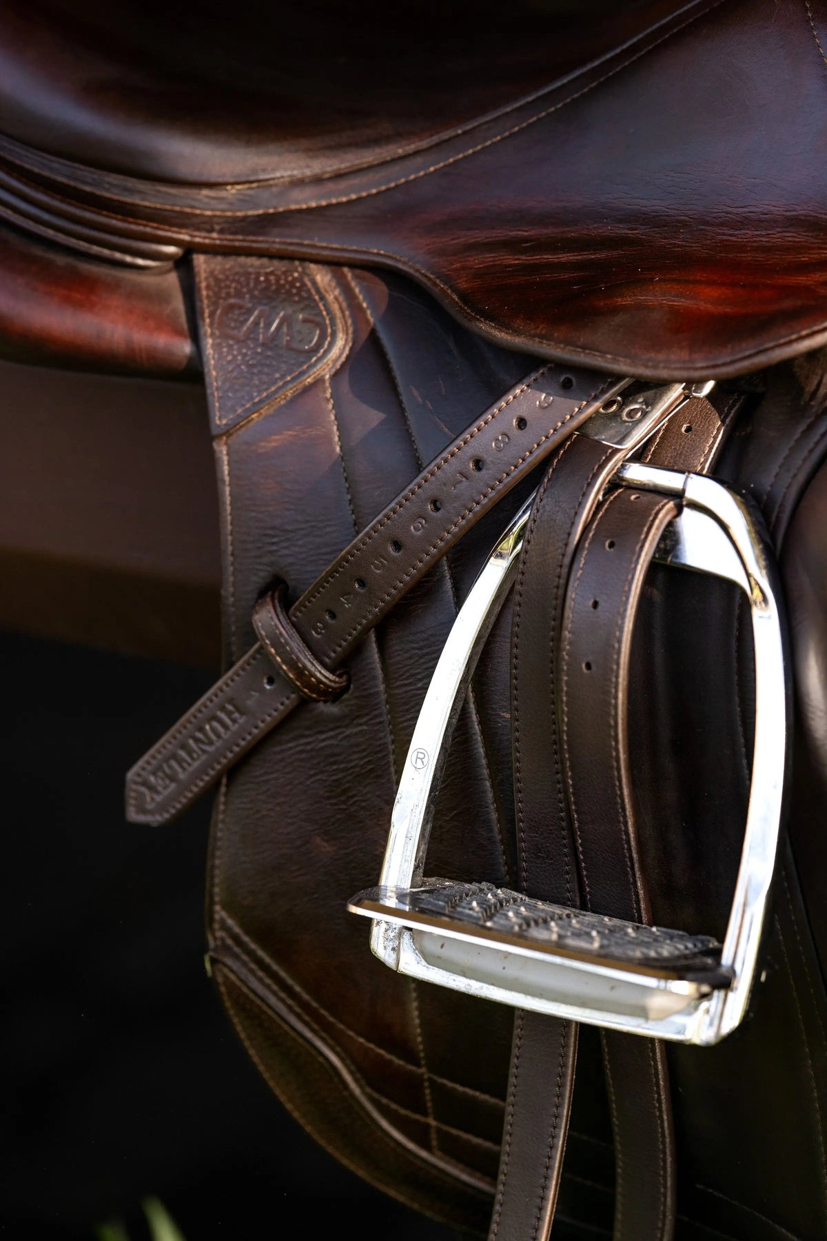 Correas para estribos Huntley Equestrian Sedgwick