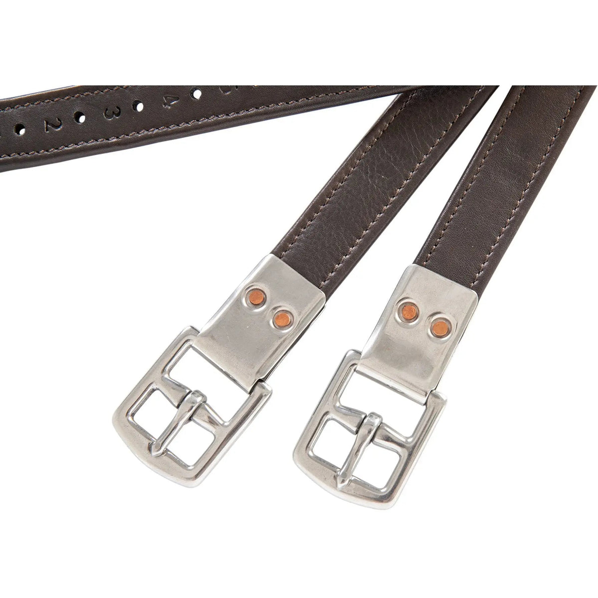 Correas para estribos Huntley Equestrian Sedgwick