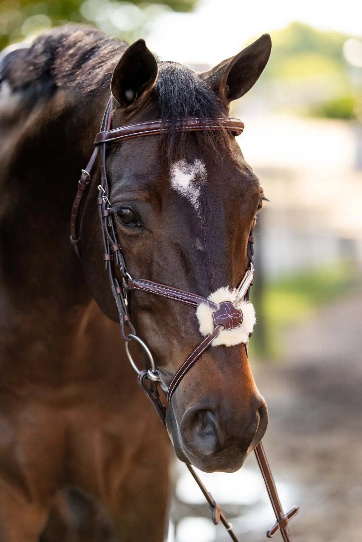 Cabezada de figura 8 Huntley Equestrian