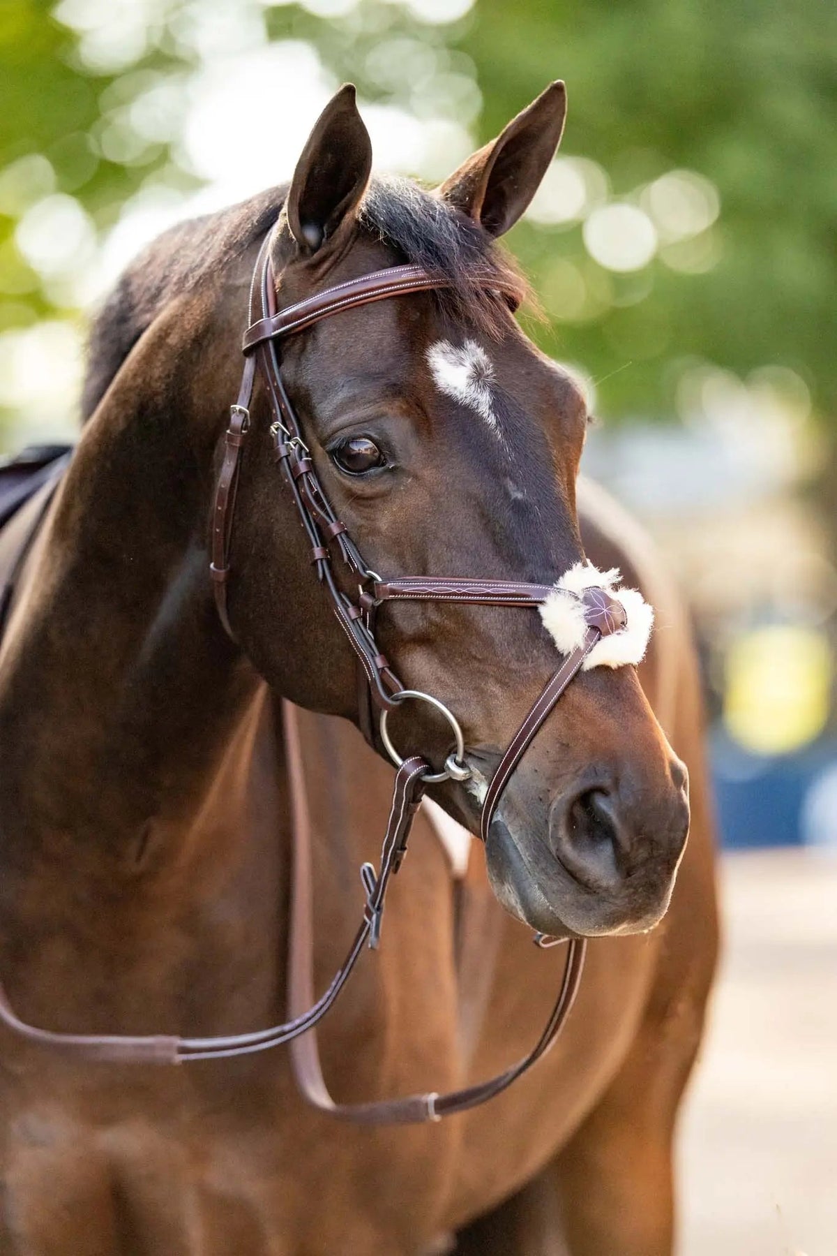 Cabezada de figura 8 Huntley Equestrian
