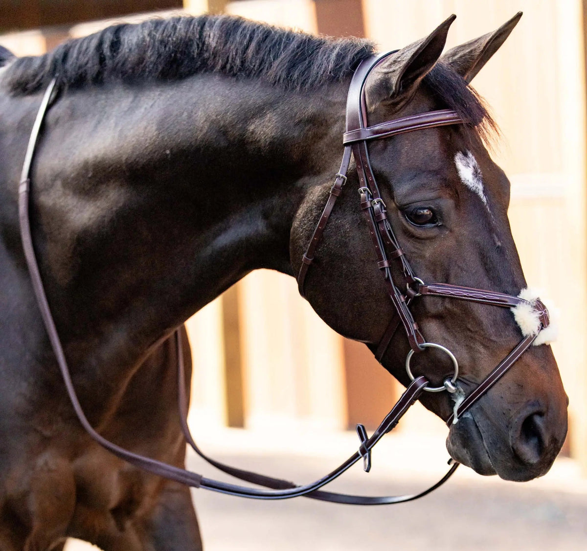 Cabezada de figura 8 Huntley Equestrian