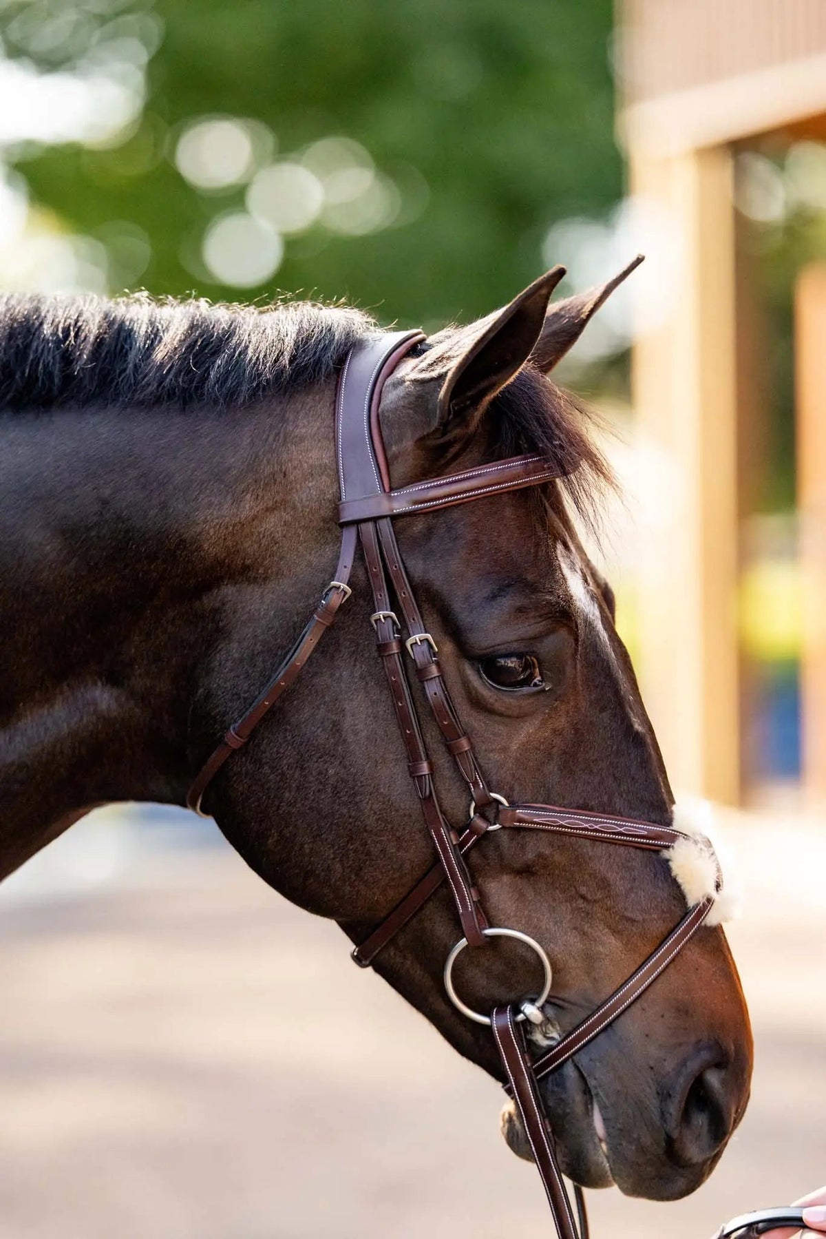 Cabezada de figura 8 Huntley Equestrian