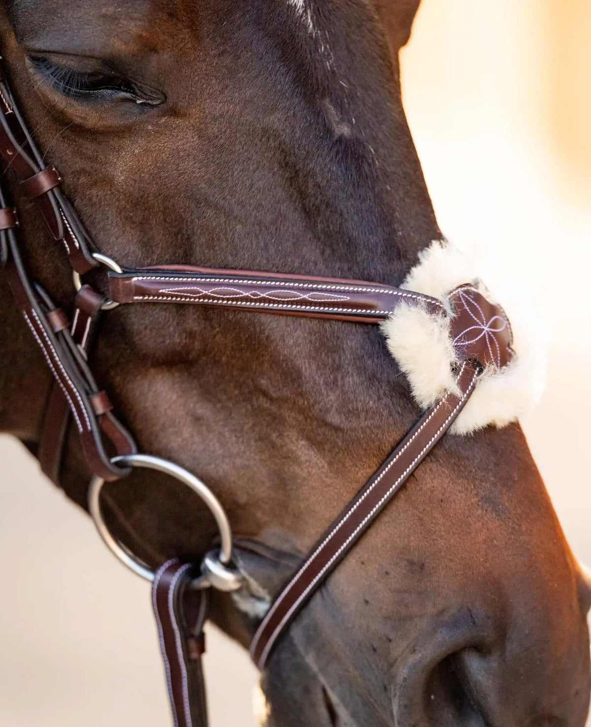 Cabezada de figura 8 Huntley Equestrian