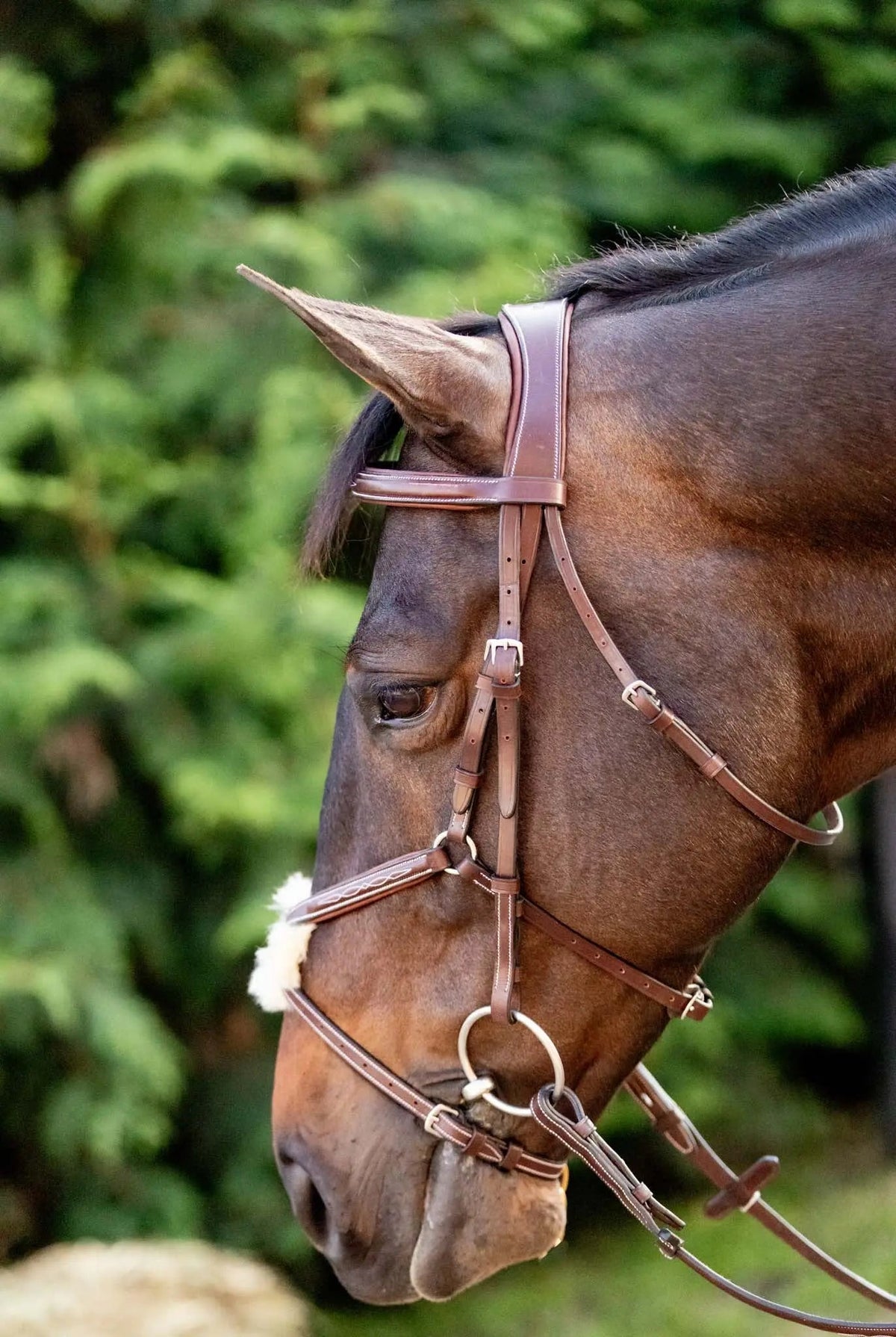 Cabezada de figura 8 Huntley Equestrian