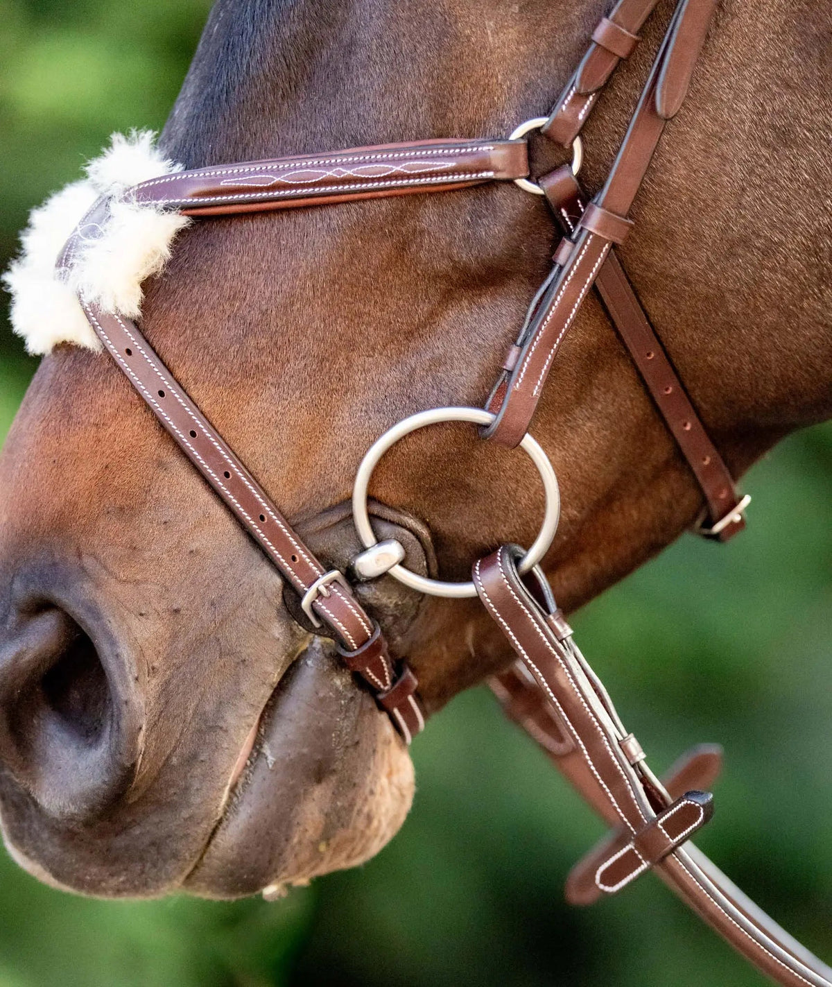 Cabezada de figura 8 Huntley Equestrian