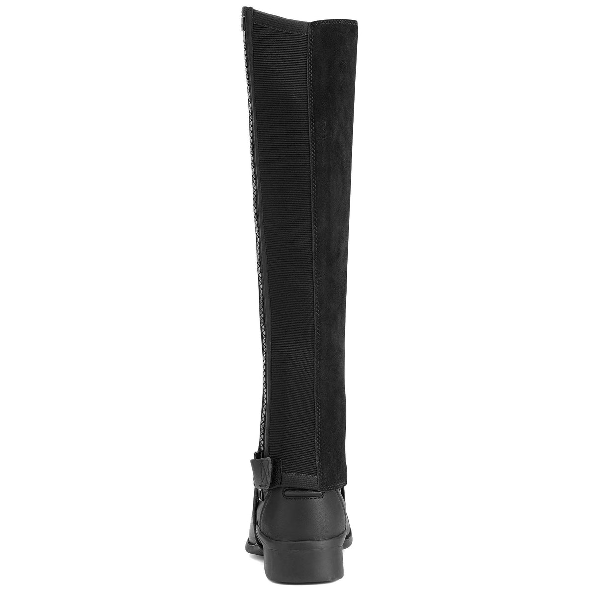 Ariat Scout Adult Half Chaps In Black Equestrian Leg Protection