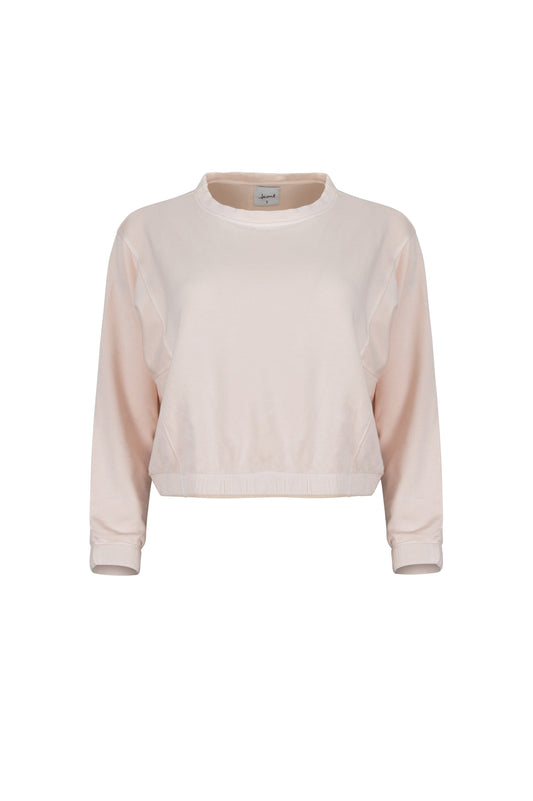 Pull Lezat Ivy